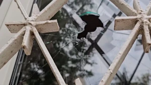 Ілюстративне фото: скриншот із відео ХОВА
