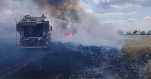 пожежа, жнива, поля
