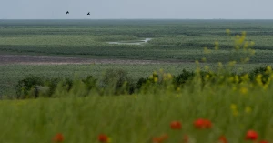 Великий Луг, що на місці колишнього Каховського водосховища. Травень 2026 року / Фото: Суспільне Новини