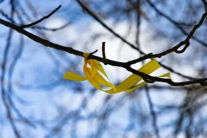 погода, стрічка, дерево