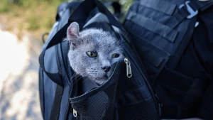 Фото: ДСНС Херсон