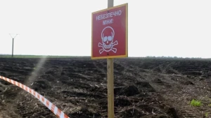 міни