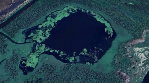 Супутникове фото ділянки НПП "Нижньодніпровський"