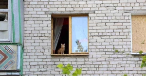 Фото Олександра Андрющенка/Вгору