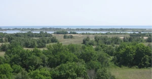 біосферник