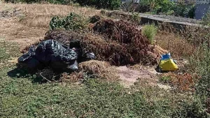 стихійне сміттєзвалище
