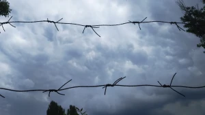 Полон