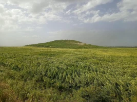 курган