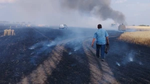 жнива, поле, аграрій