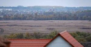 олешки