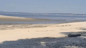 Берег Каховського водосховища у Дудчанах.