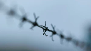 Фото: unsplash.com
