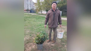 Анатолій