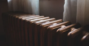 Фото: Pexels
