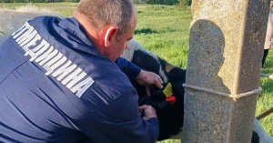 Фото: Головне управління Держпродспоживслужби Херсонщини