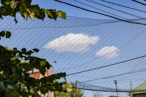 сітка, небо