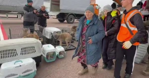 Евакуйовані люди та домашні тварини з Олешків, що на окупованому лівобережжі Херсонськох області. Фото: БелТА