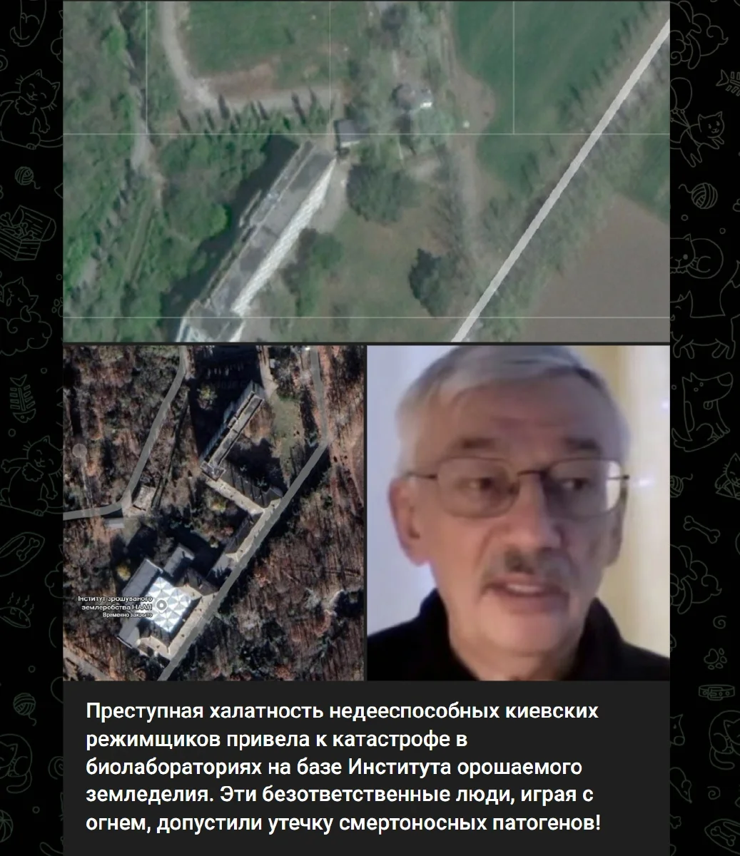 Скриншот окупаційного телеграм-каналу