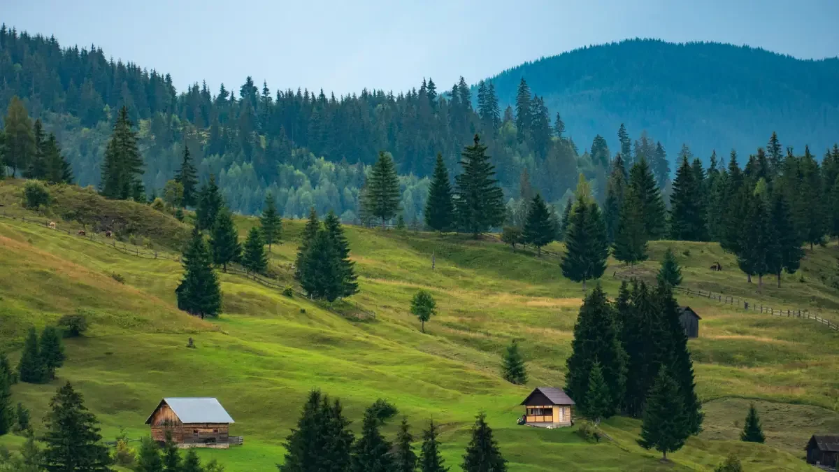 Літній відпочинок у Буковелі: гірські пейзажі, піші маршрути та активні розваги в Карпатах.