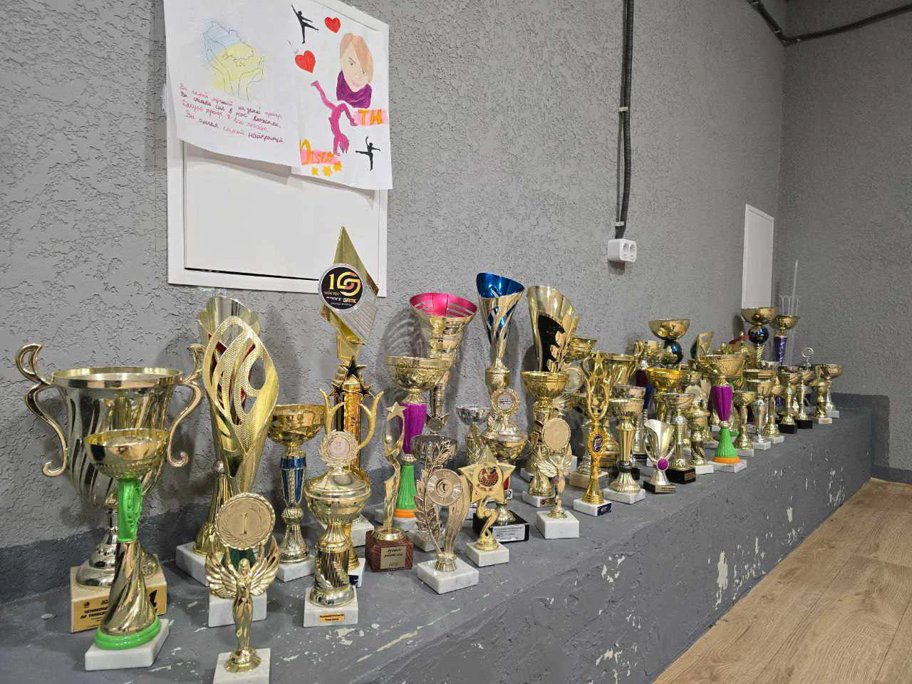 Нагороди вихованців Тетяни