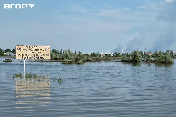 Фото Олени Гнітецької  / "Вгору"