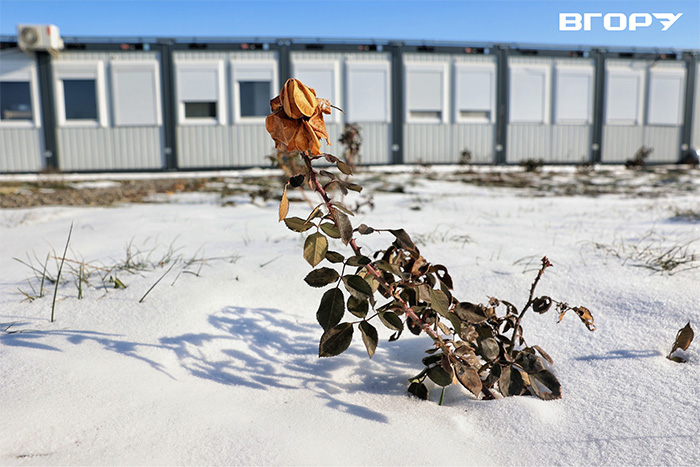 Фото Олени Гнітецької  / “Вгору”
