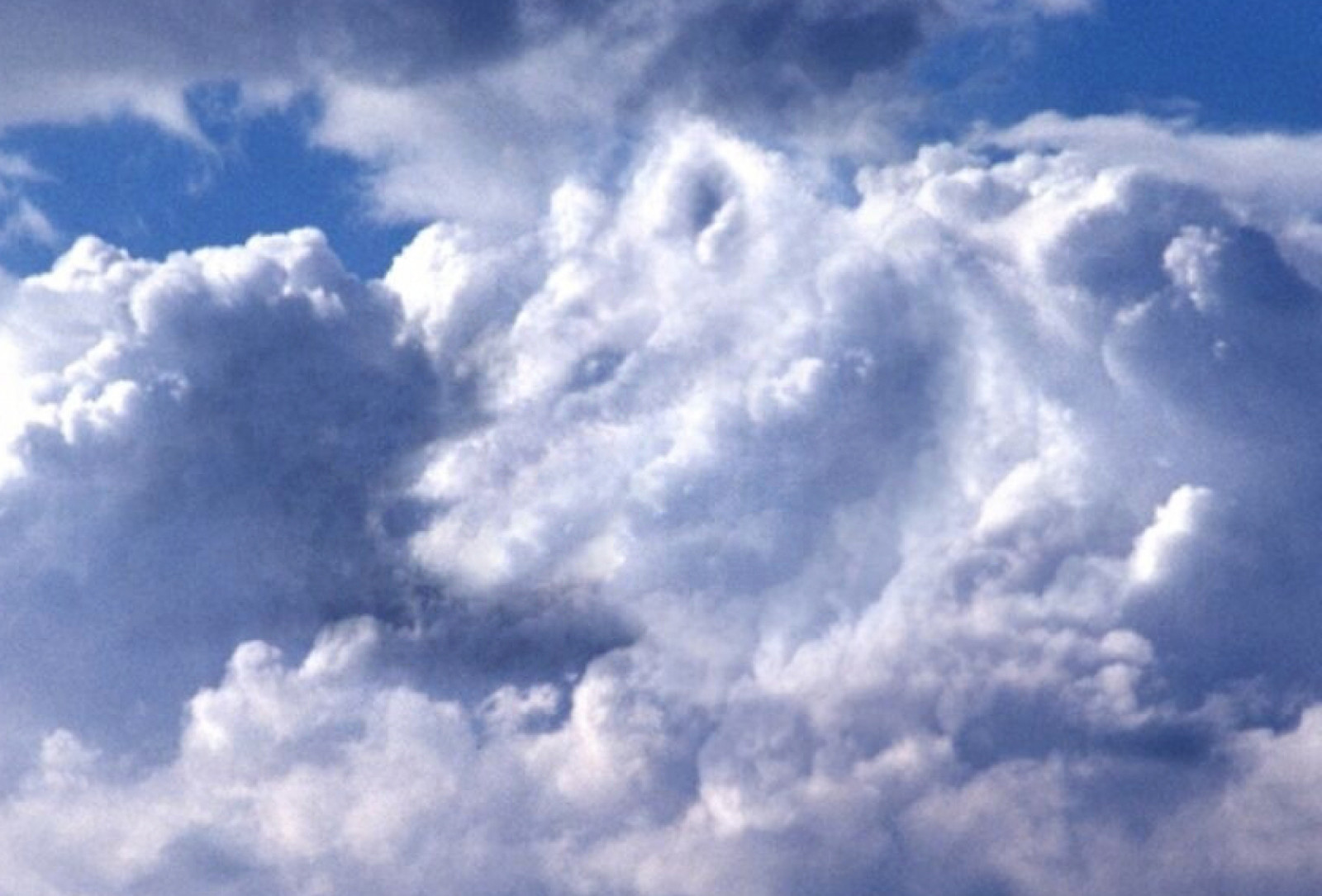 Рассказ о красоте неба окружающий мир 2. Облако цитата. Облако для фразы. Про облака высказывания. Смешные фразы про облака.