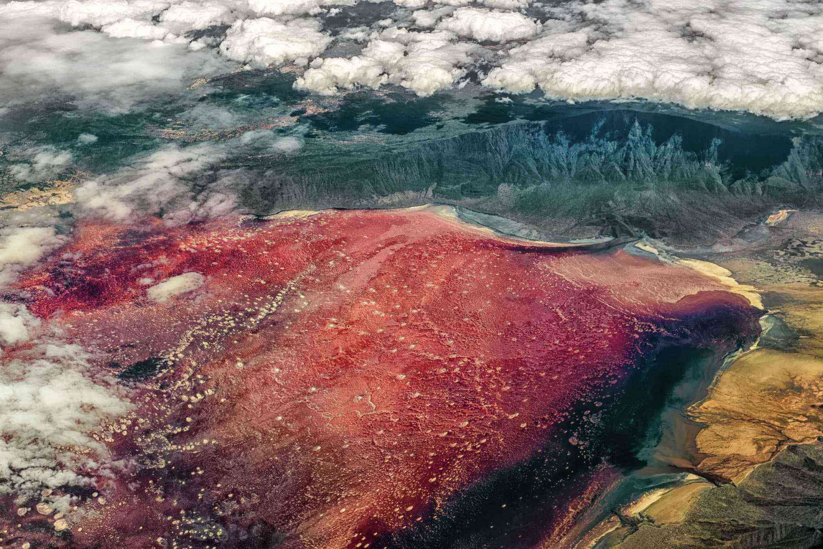 Озеро Натрон в Танзанії в крите кіркою солі, протягом року може змінювати колір. В результаті життєдіяльності мікроорганізмів - галофільних ціанобактерій, вода кілька разів на рік набуває соковиті червонуваті та рожеві відтінки. При підвищенні температури бактерії виділяють пігмент червоного кольору, фарбуючи озеро.