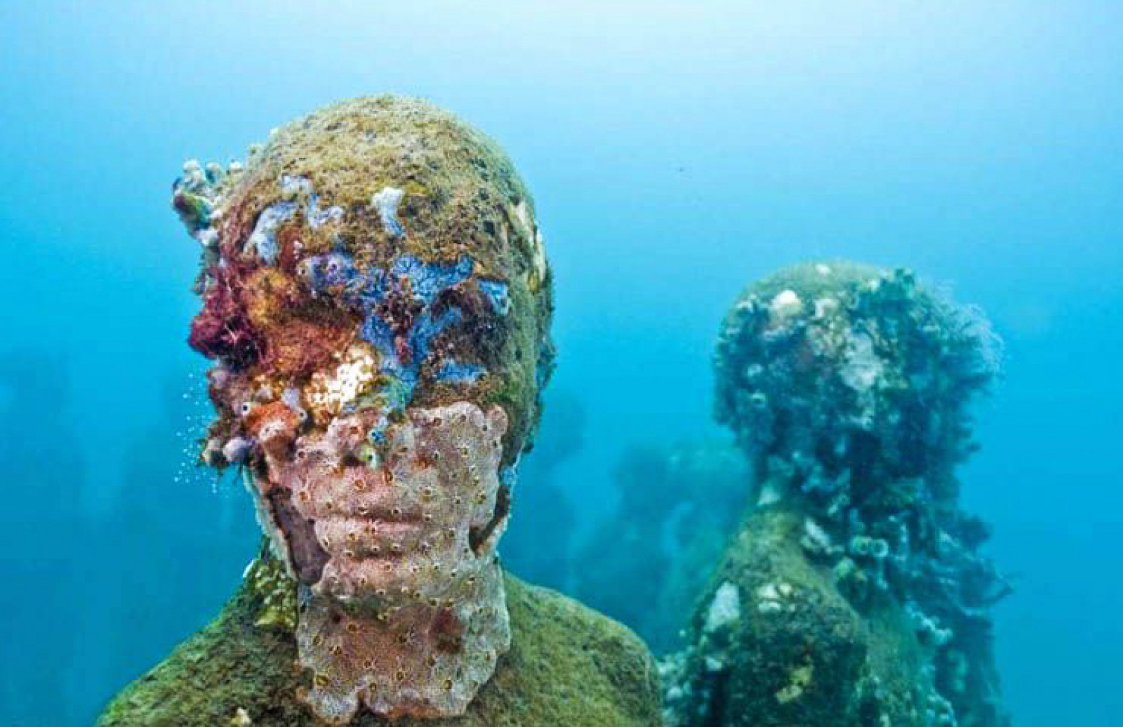 Подводный музей в Мексике кораллы