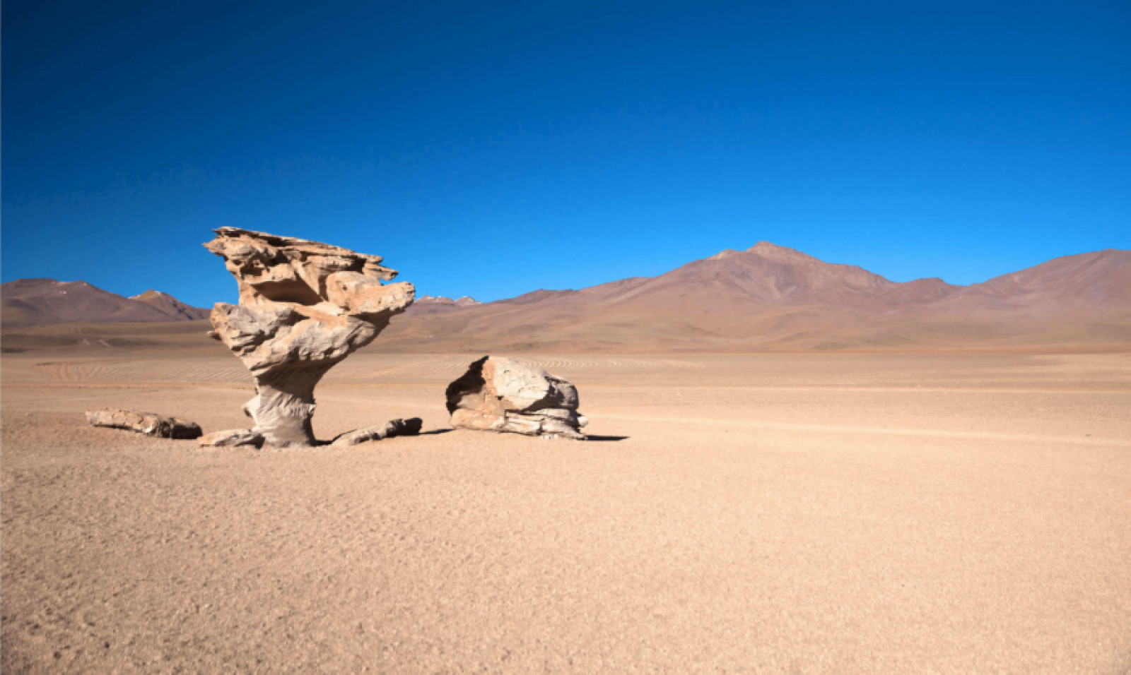Пустеля Сальвадора Далі, Болівія