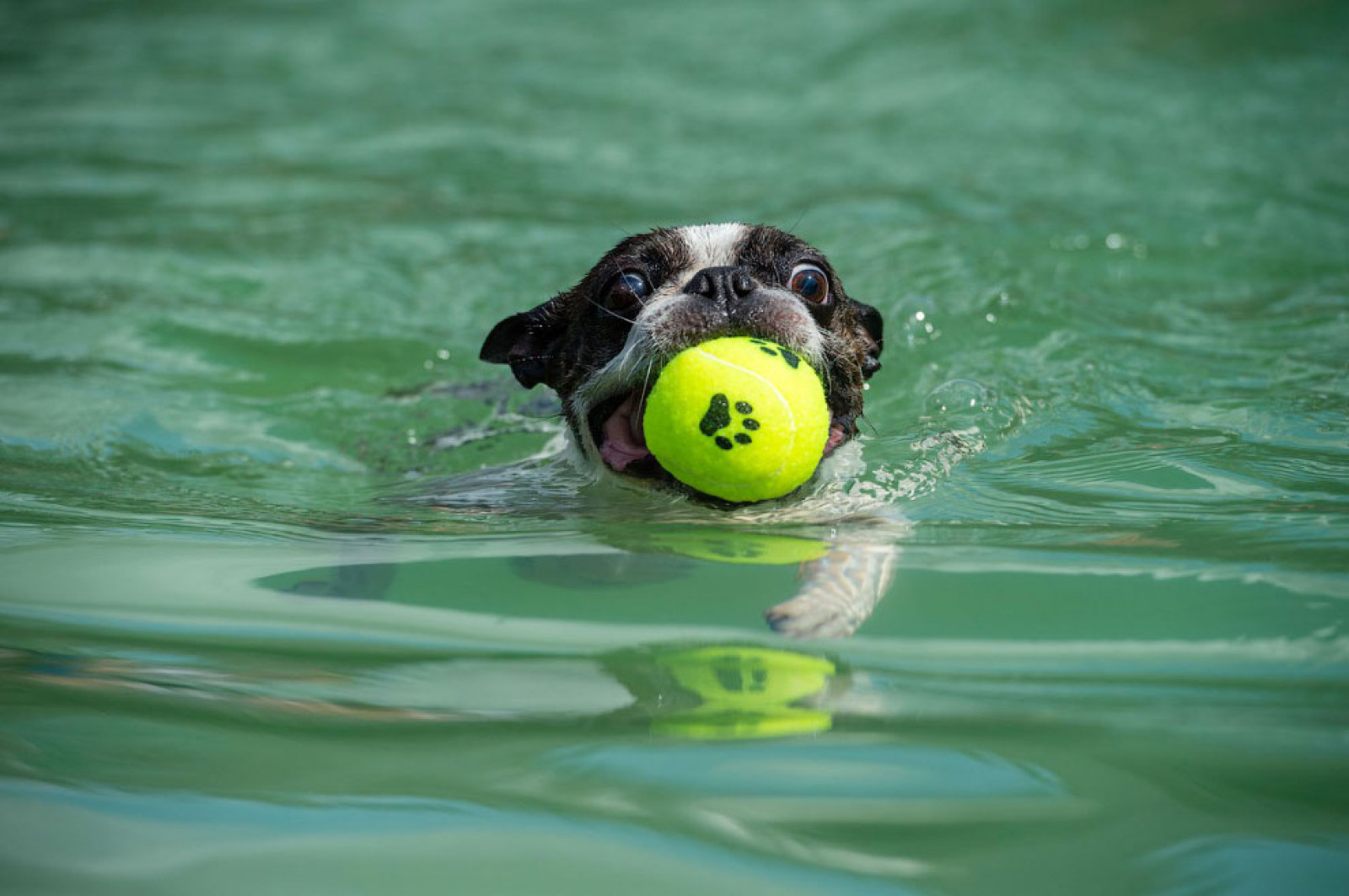 Заплив з м'ячем. Фото Jens Schlueter