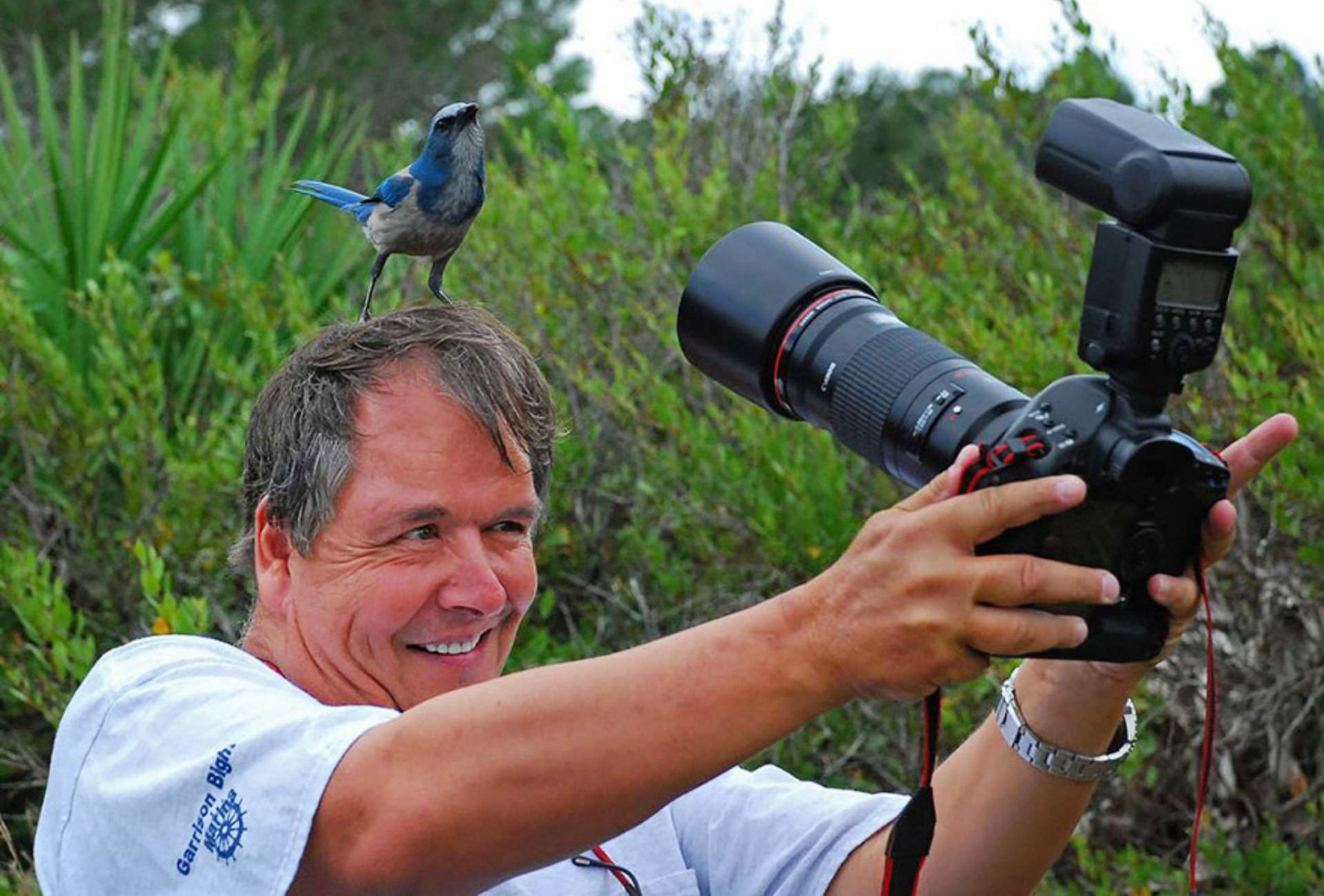 Фотографы дикой природы. Фотограф-натуралист Adam Jones. Фотографирование птиц. Фотоаппарат для съемки птиц.